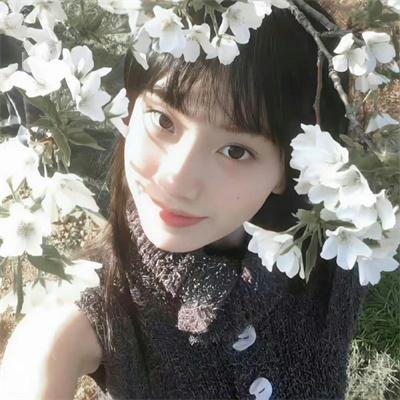 以人民的名义